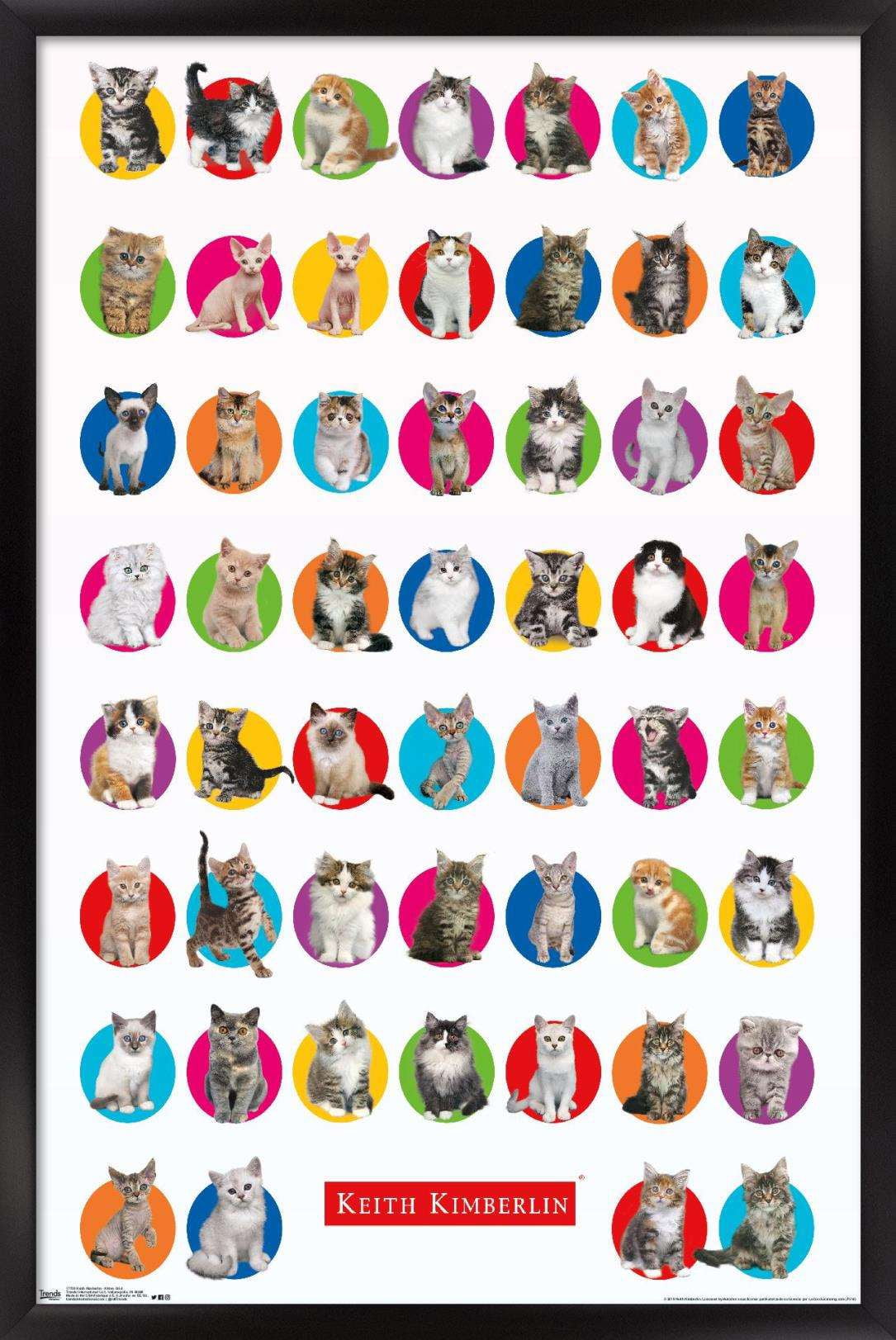 Keith Kimberlin - Kitten Grid Wall Poster, 14.725" x 22.375", Framed