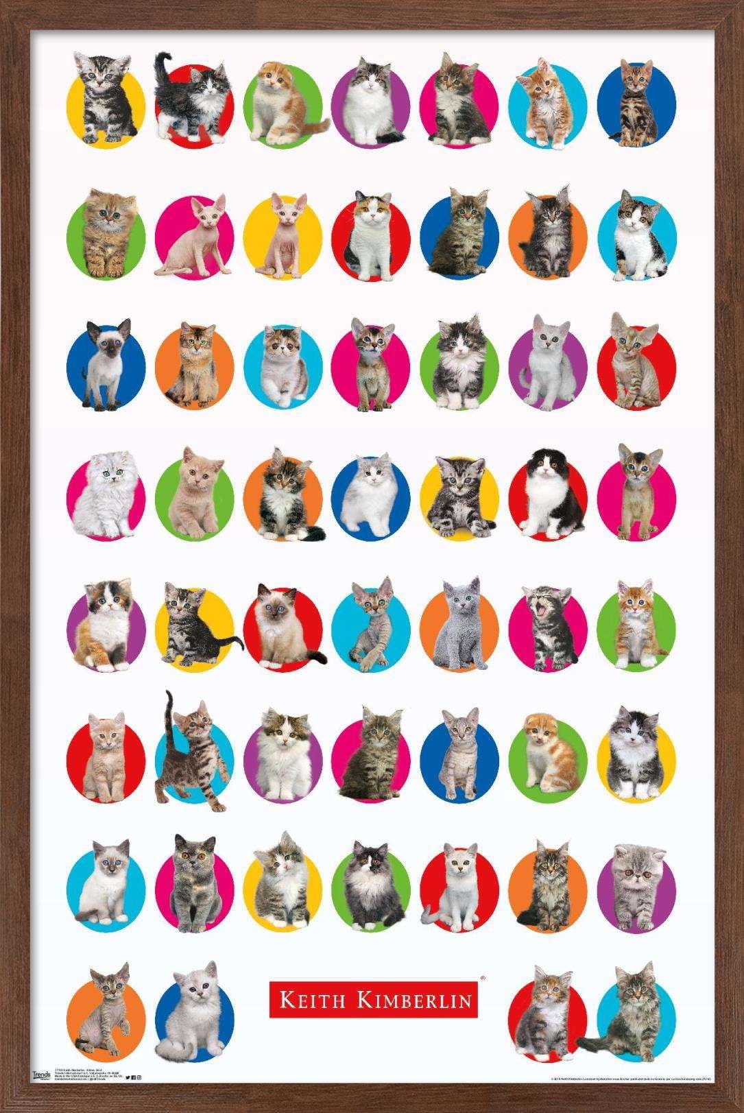 Keith Kimberlin - Kitten Grid Wall Poster, 14.725" x 22.375", Framed