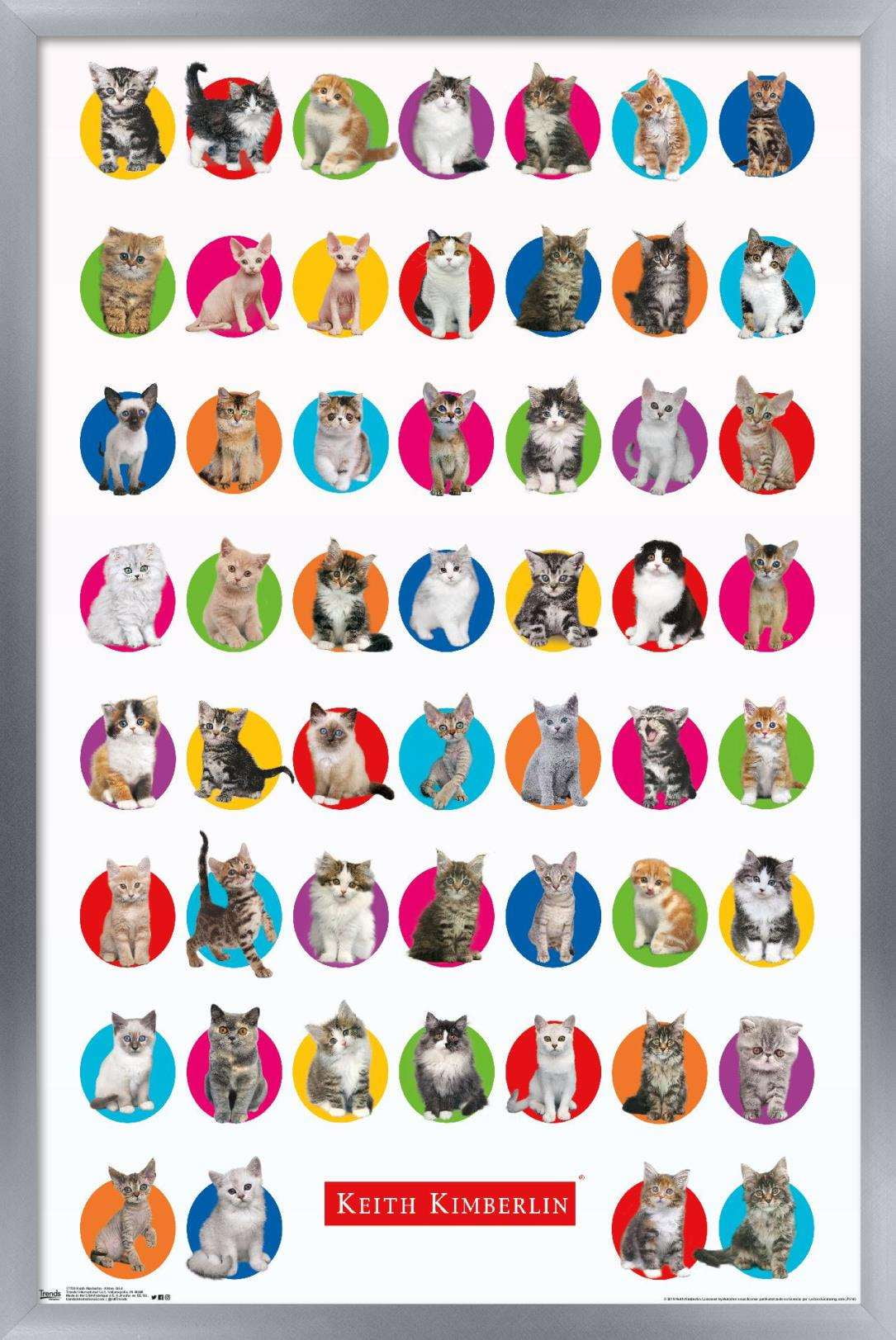 Keith Kimberlin - Kitten Grid Wall Poster, 14.725" x 22.375", Framed