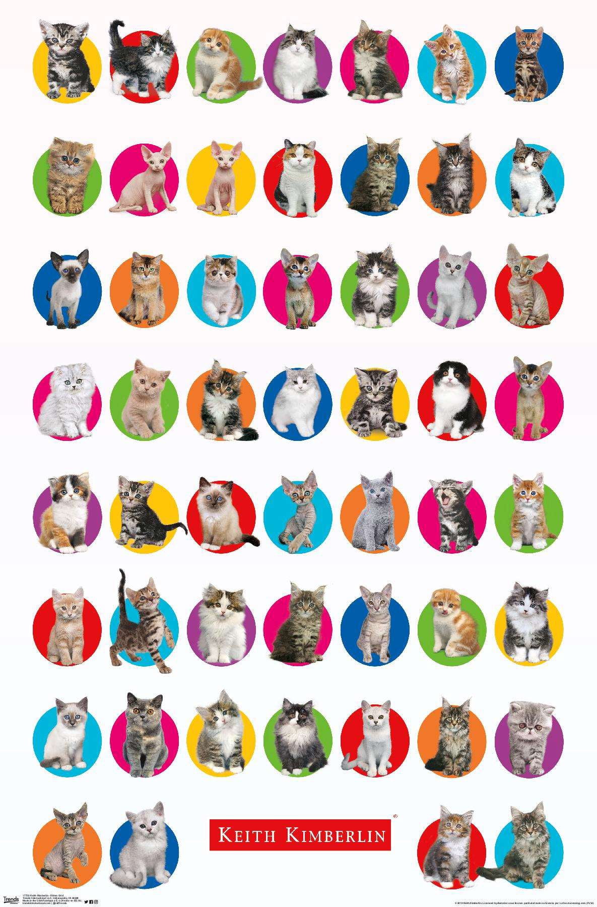 Keith Kimberlin - Kitten Grid Wall Poster, 14.725" x 22.375"