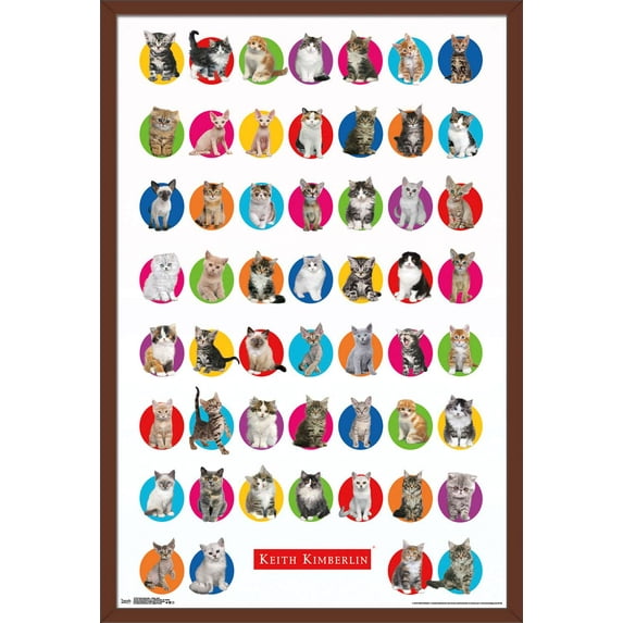 Keith Kimberlin - Kitten Grid Wall Poster, 22.375" x 34", Framed
