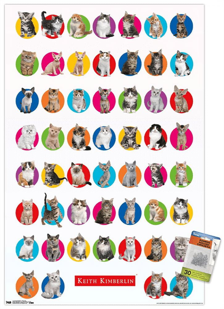 Keith Kimberlin - Kitten Grid Wall Poster with Push Pins, 22.375" x 34"