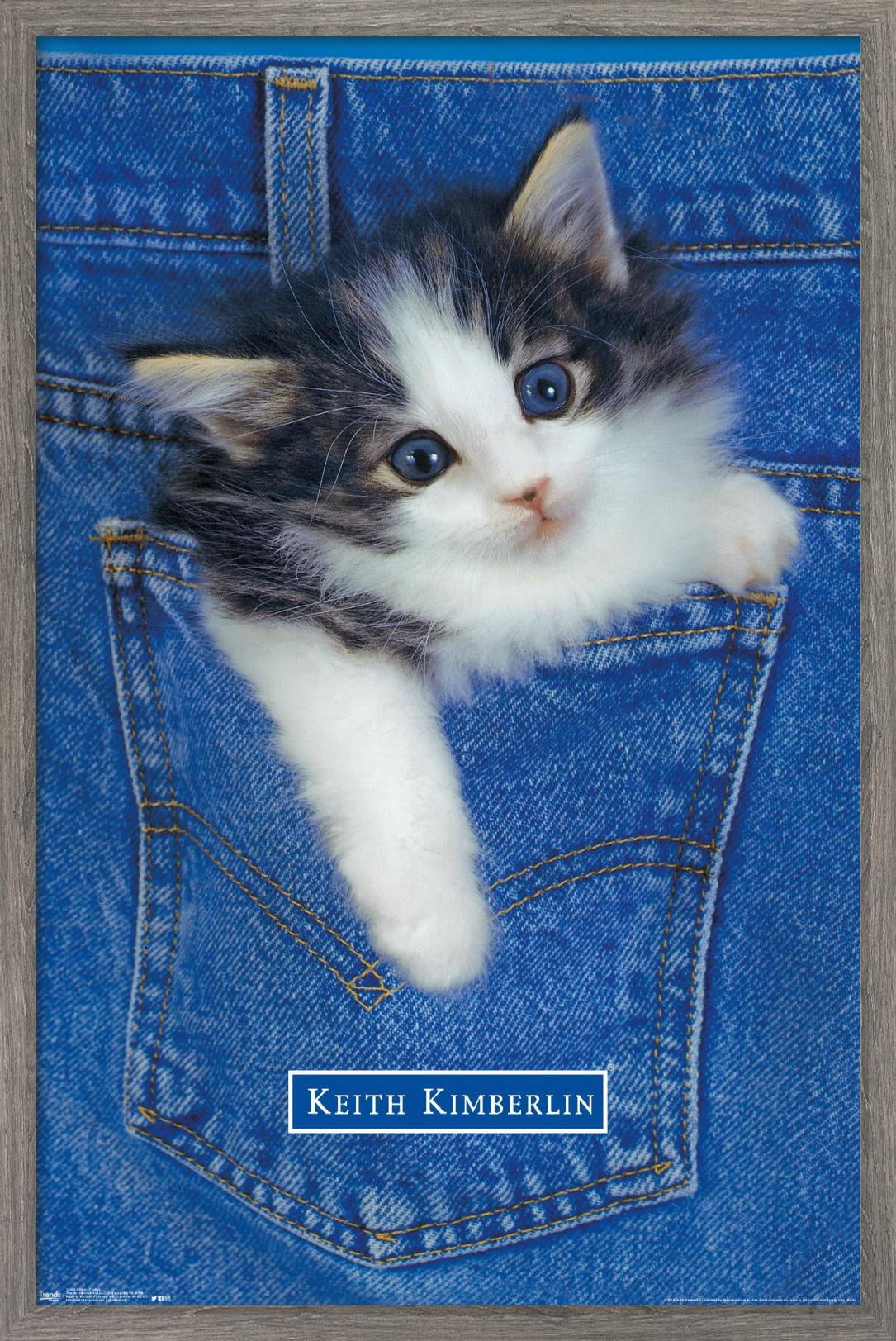 Keith Kimberlin - Kitten - Pocket Wall Poster, 14.725" x 22.375", Framed