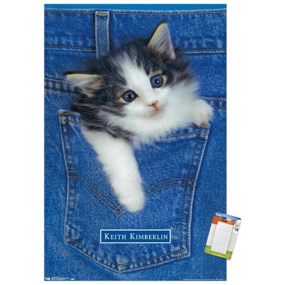 Keith Kimberlin - Kitten - Pocket Wall Poster, 14.725" x 22.375"