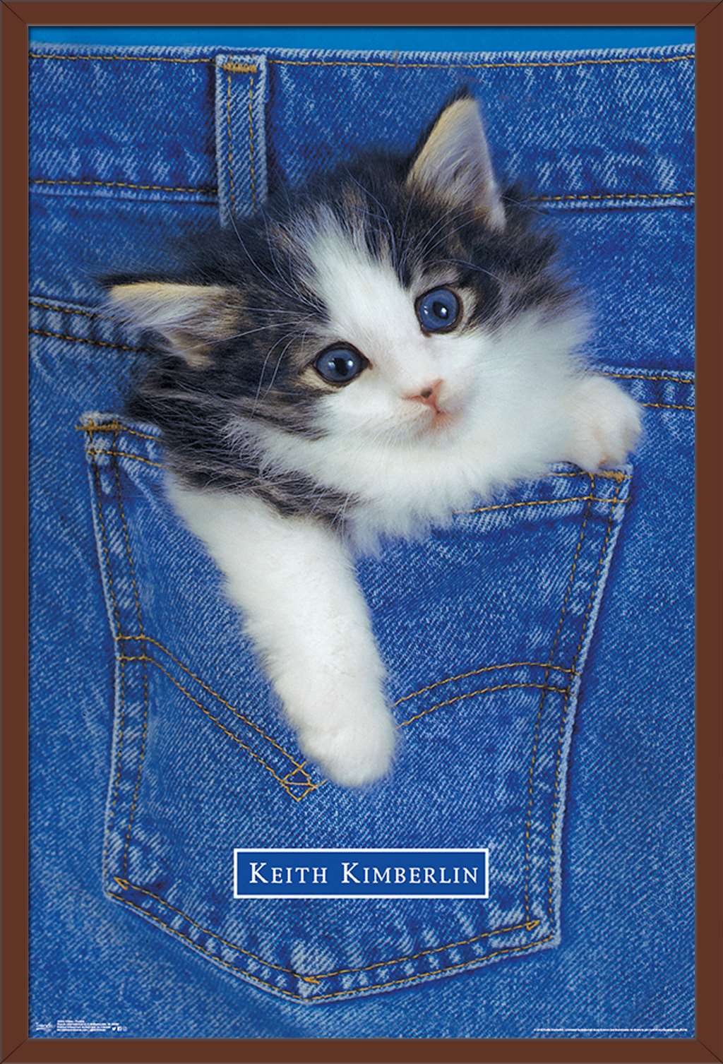 Keith Kimberlin - Kitten - Pocket Wall Poster, 22.375" x 34", Framed