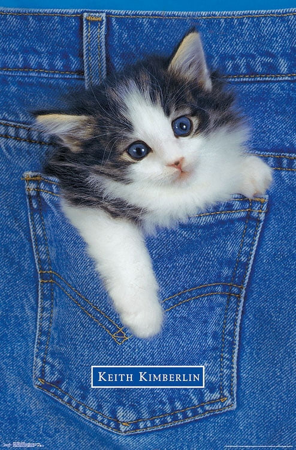 Keith Kimberlin - Kitten - Pocket Wall Poster, 22.375" x 34"