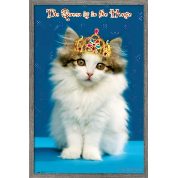 Keith Kimberlin - Kitten - Queen Wall Poster, 14.725" x 22.375", Framed