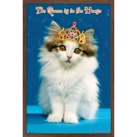 Keith Kimberlin - Kitten - Queen Wall Poster, 14.725" x 22.375", Framed