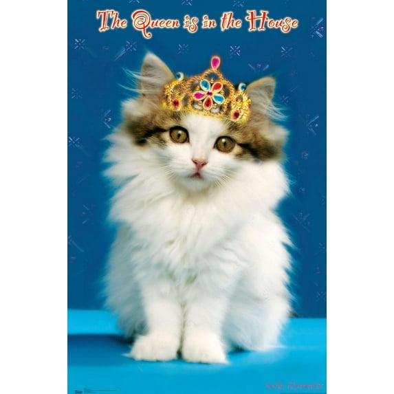 Keith Kimberlin - Kitten - Queen Wall Poster, 14.725" x 22.375"