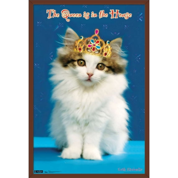 Keith Kimberlin - Kitten - Queen Wall Poster, 22.375" x 34", Framed