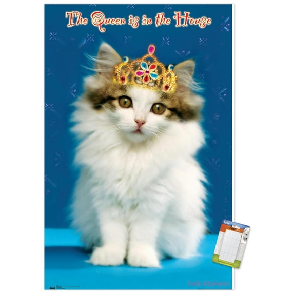 Keith Kimberlin - Kitten - Queen Wall Poster, 22.375" x 34"