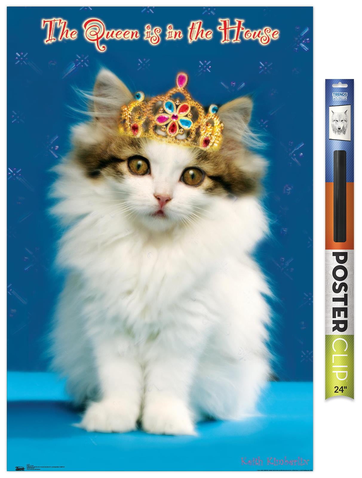 Keith Kimberlin - Kitten - Queen Wall Poster, 22.375" x 34"
