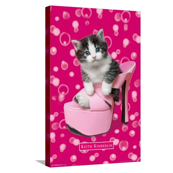 Keith Kimberlin - Kitten - Shoe Canvas Wall Poster, 14.725" x 22.375"