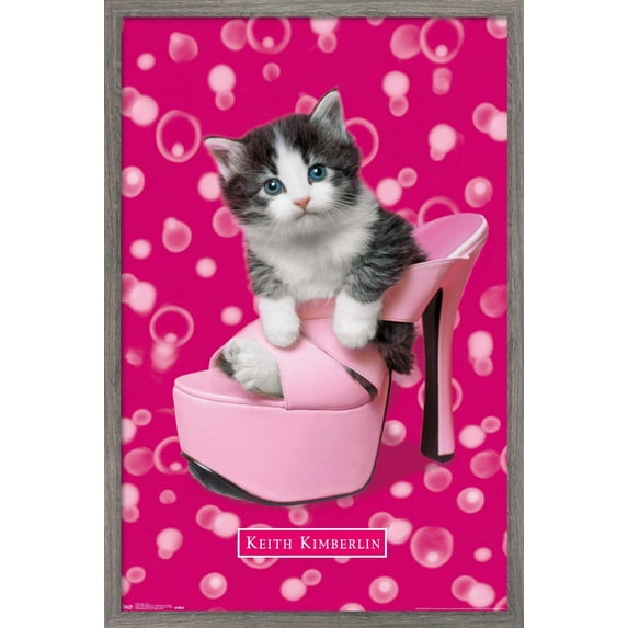 Keith Kimberlin - Kitten - Shoe Wall Poster, 14.725" x 22.375", Framed