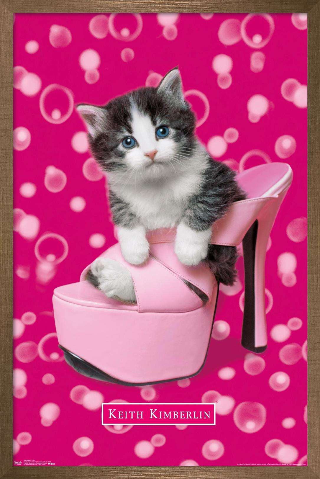 Keith Kimberlin - Kitten - Shoe Wall Poster, 22.375" x 34", Framed