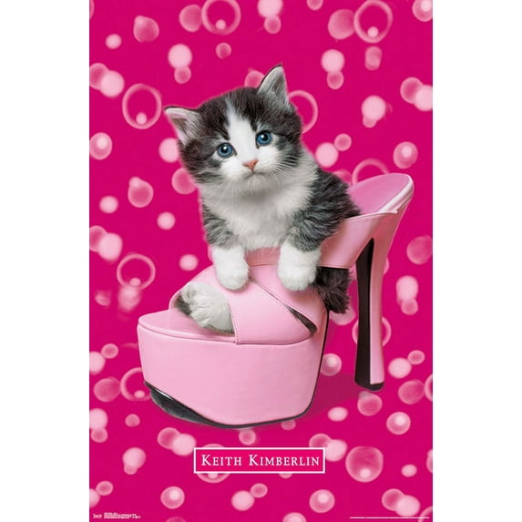 Keith Kimberlin - Kitten - Shoe Wall Poster, 22.375" x 34"