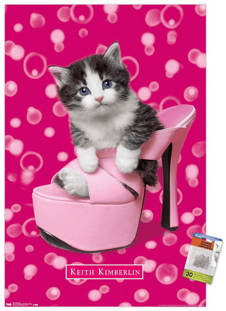 Keith Kimberlin - Kitten - Shoe Wall Poster with Push Pins, 22.375" x 34"