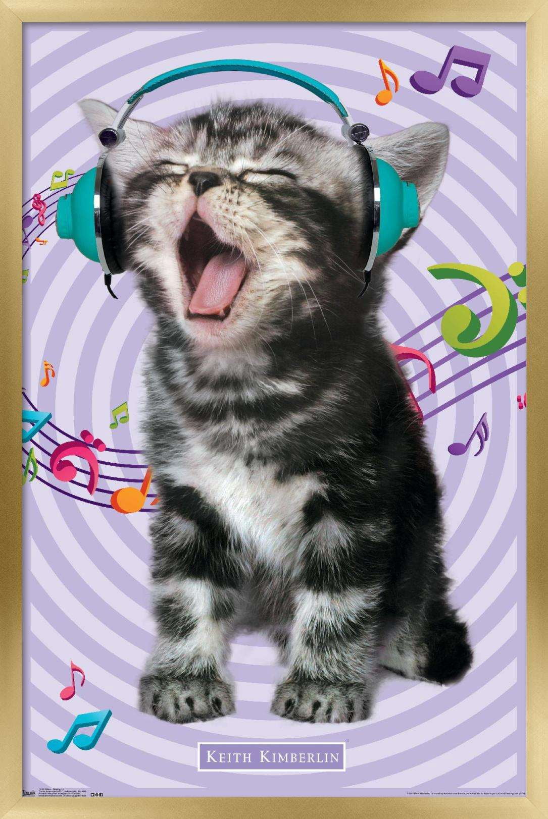Keith Kimberlin - Kitten - Singing Wall Poster, 14.725" x 22.375", Framed
