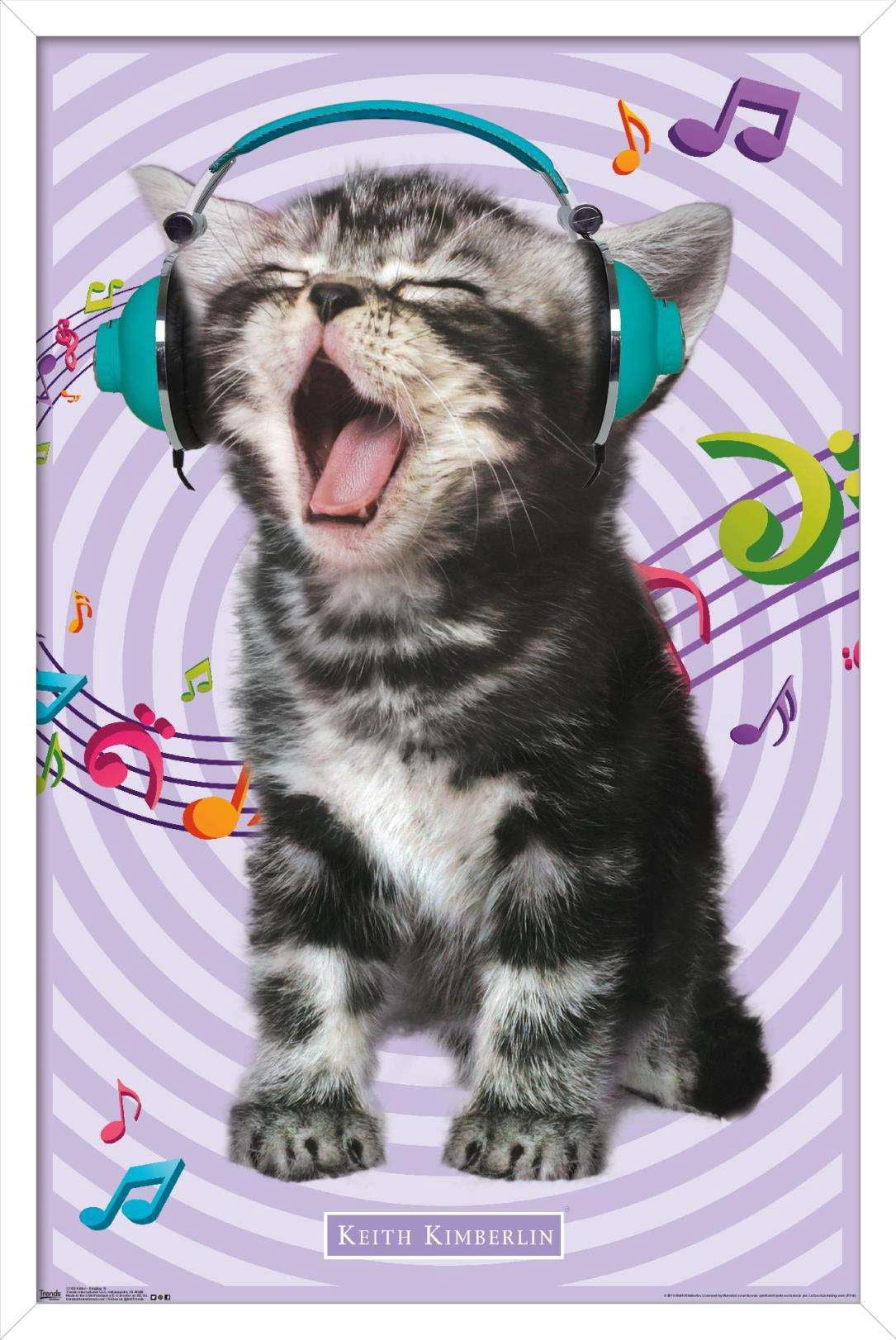 Keith Kimberlin - Kitten - Singing Wall Poster, 14.725" x 22.375", Framed