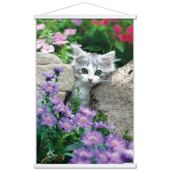 Keith Kimberlin - Kitten - Stones and Flowers Wall Poster with Wooden Magnetic Frame, 22.375" x 34"