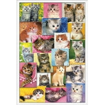 Keith Kimberlin - Kittens Collage Wall Poster, 22.375" x 34", Framed