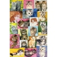 thumbnail image 1 of Keith Kimberlin - Kittens Collage Wall Poster, 22.375" x 34", 1 of 2