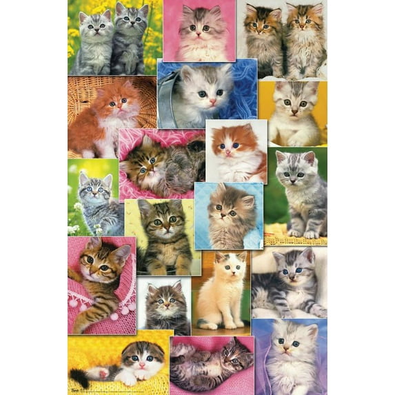 Keith Kimberlin - Kittens Collage Wall Poster, 22.375" x 34"