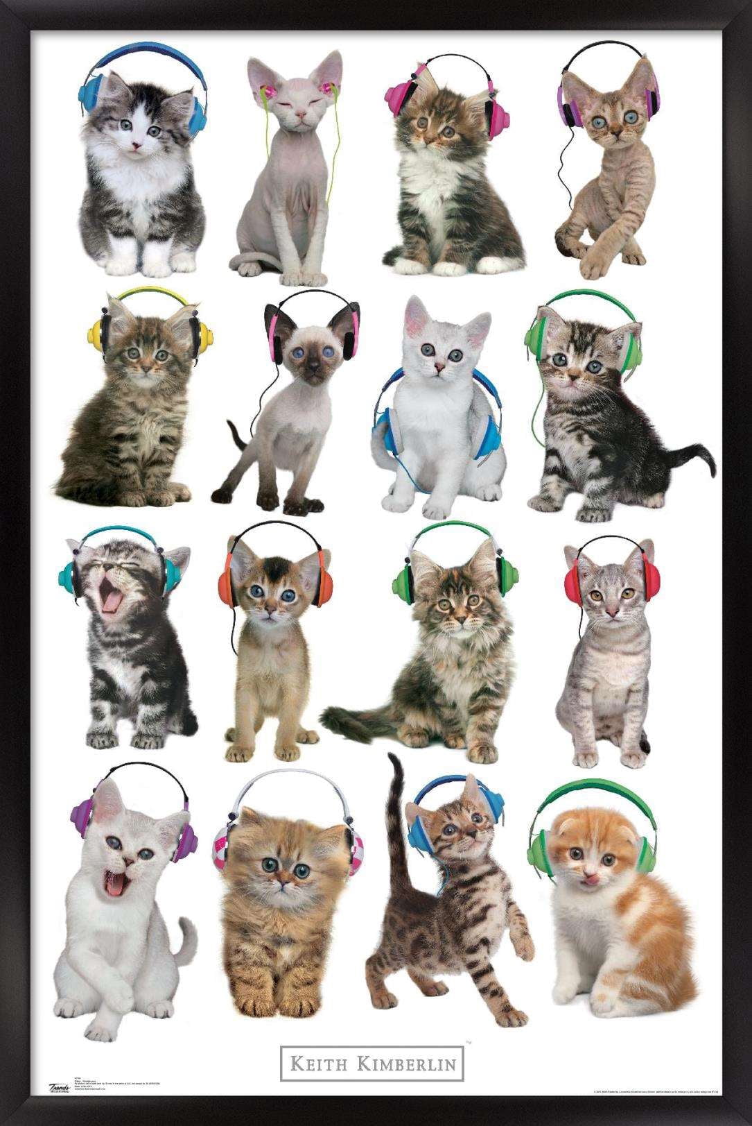 Keith Kimberlin - Kittens - Headphones Wall Poster, 14.725" x 22.375", Framed
