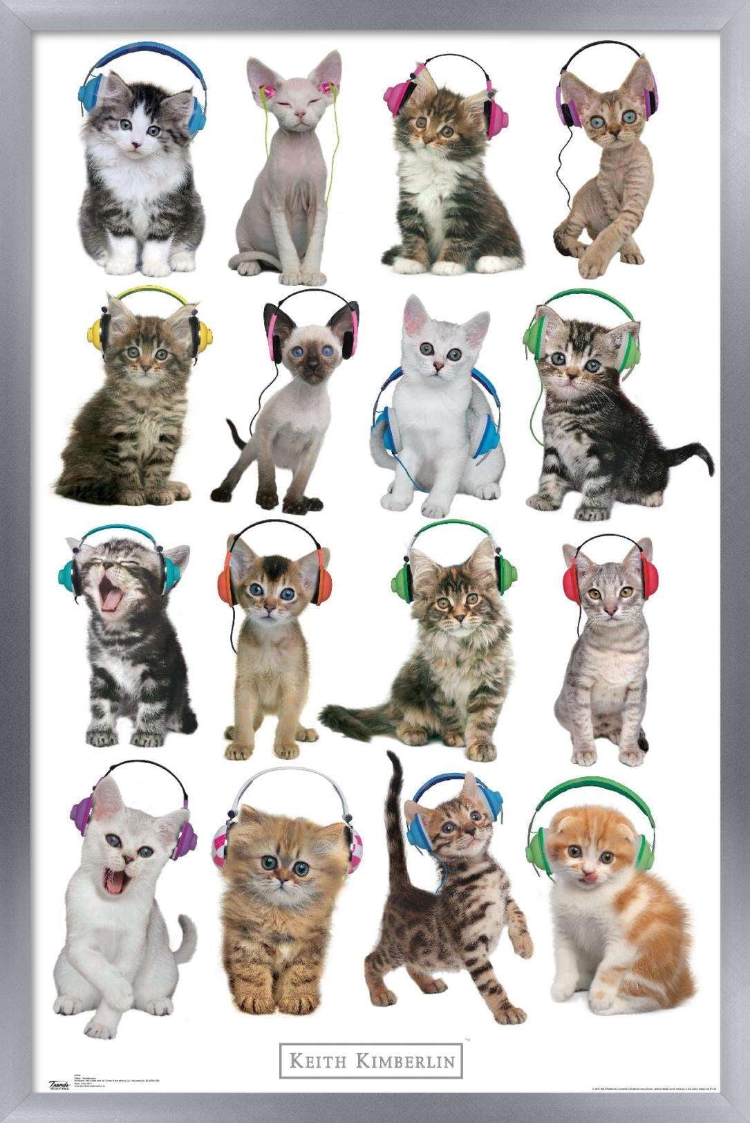 Keith Kimberlin - Kittens - Headphones Wall Poster, 14.725" x 22.375", Framed