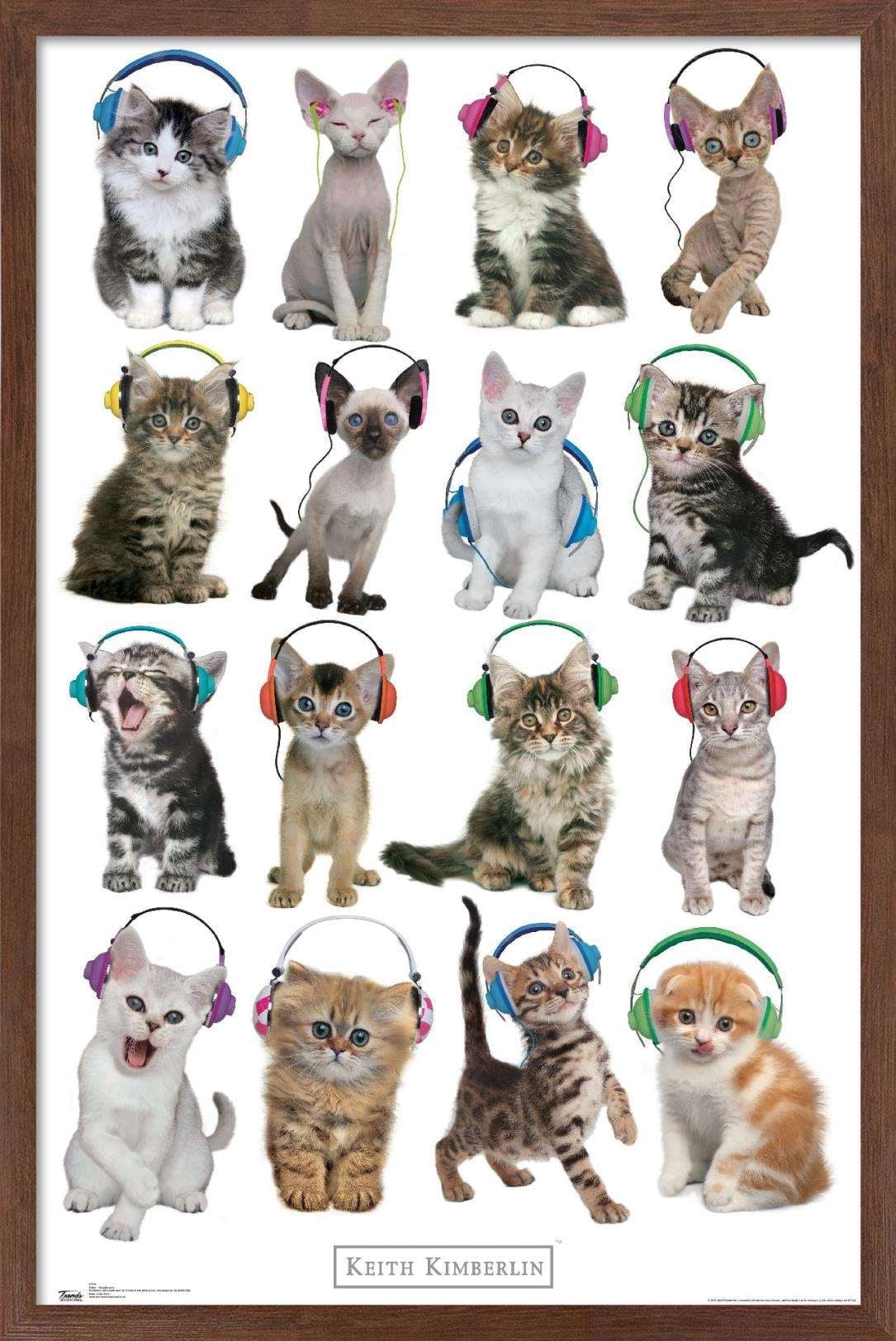 Keith Kimberlin - Kittens - Headphones Wall Poster, 14.725" x 22.375", Framed