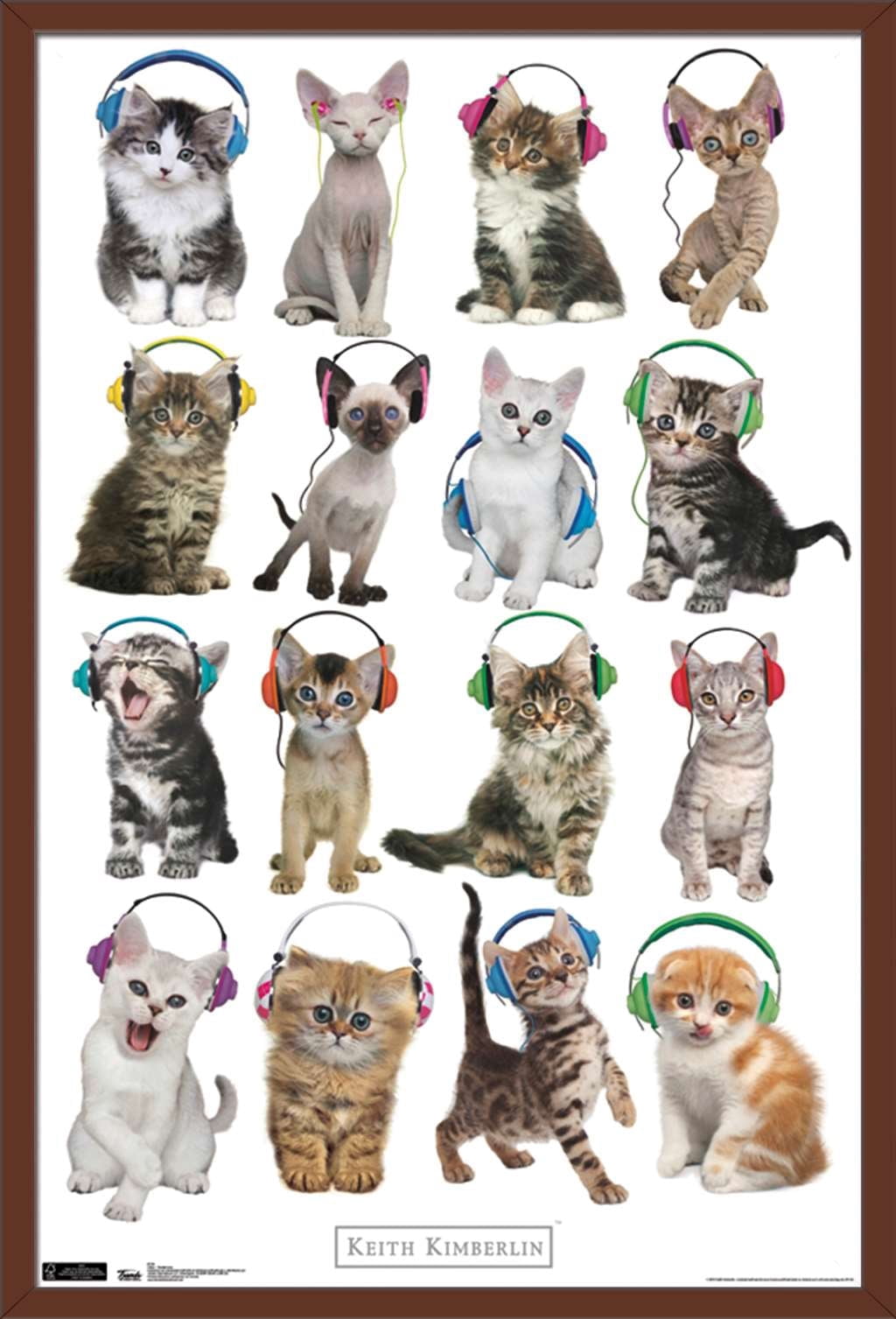 Keith Kimberlin - Kittens - Headphones Wall Poster, 22.375" x 34", Framed