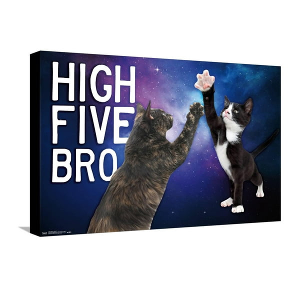Keith Kimberlin - Kittens - High Five Bro in Space Canvas Wall Poster, 14.725" x 22.375"