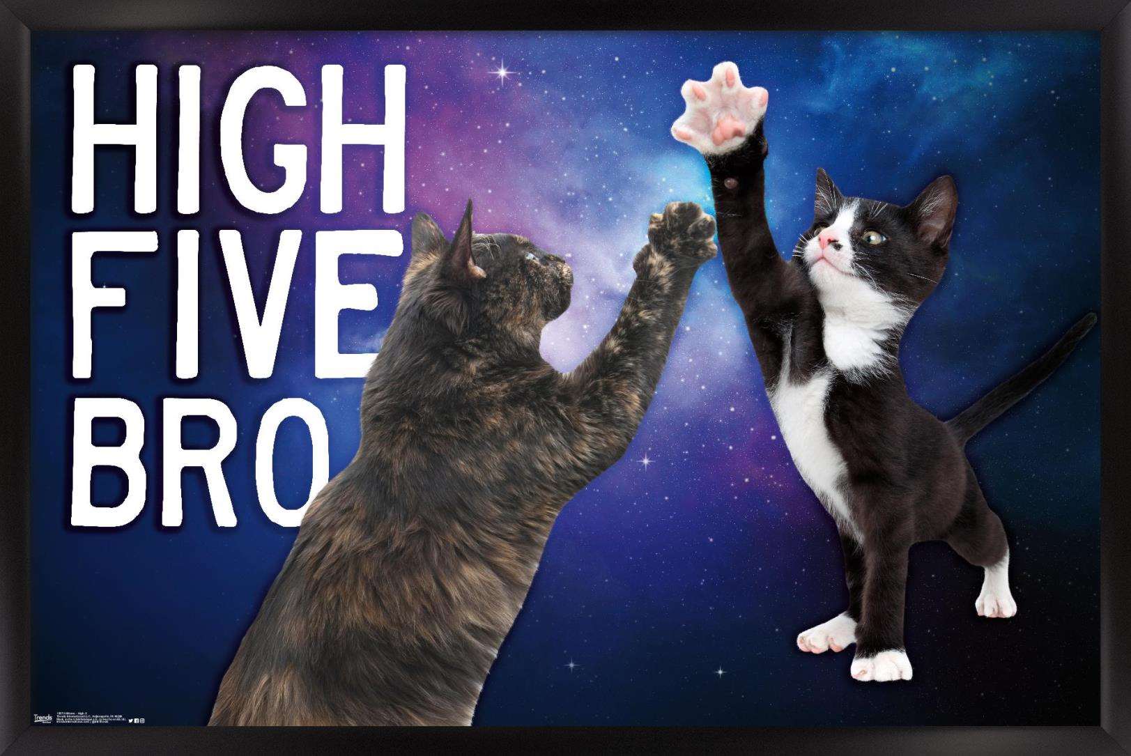 Keith Kimberlin - Kittens - High Five Bro in Space Wall Poster, 14.725" x 22.375", Framed