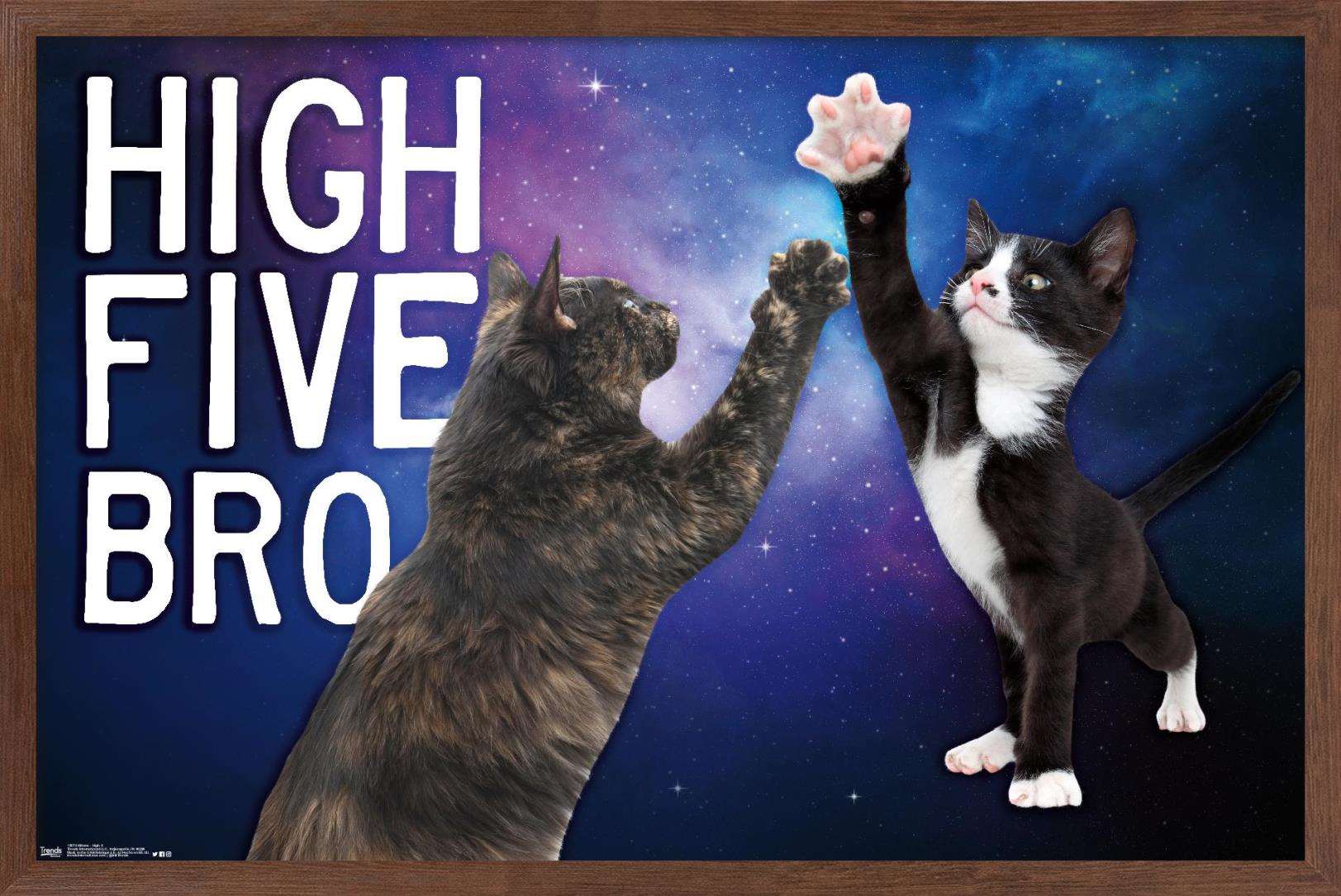 Keith Kimberlin - Kittens - High Five Bro in Space Wall Poster, 14.725" x 22.375", Framed