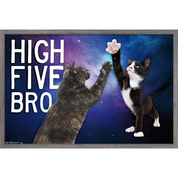Keith Kimberlin - Kittens - High Five Bro in Space Wall Poster, 14.725" x 22.375", Framed