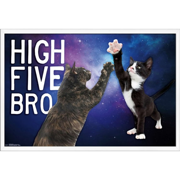 Keith Kimberlin - Kittens - High Five Bro in Space Wall Poster, 22.375" x 34", Framed