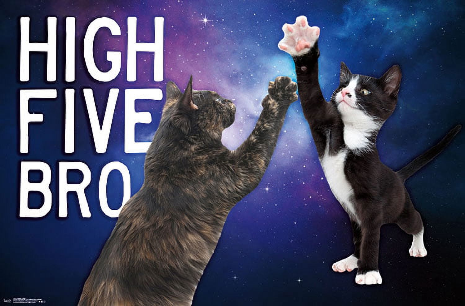 Keith Kimberlin - Kittens - High Five Bro in Space Wall Poster, 22.375" x 34"