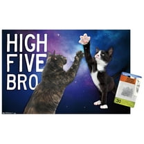 Keith Kimberlin - Kittens - High Five Bro in Space Wall Poster with Push Pins, 14.725" x 22.375"