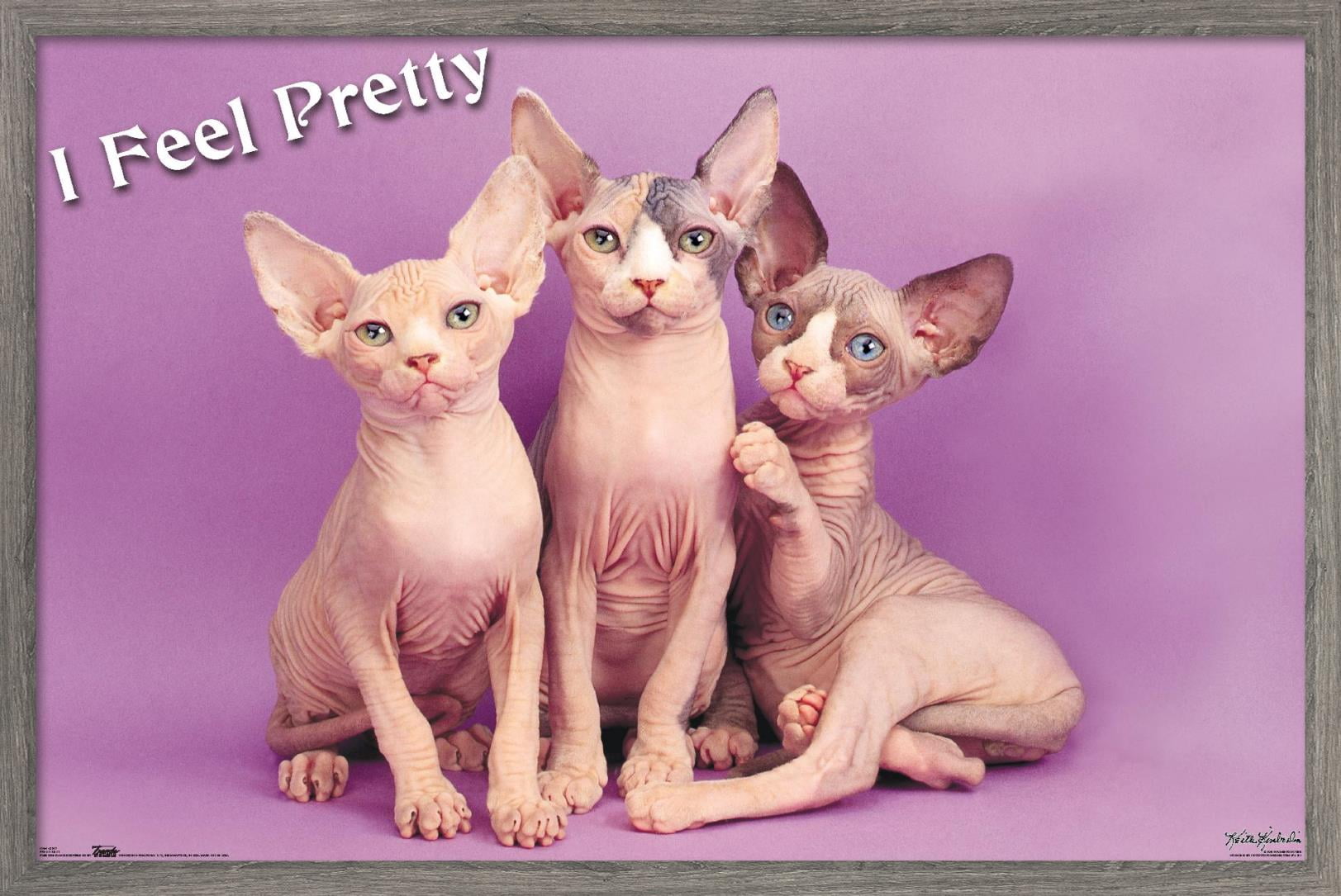 Keith Kimberlin - Kittens - Pretty Kitty Wall Poster, 22.375" x 34" Framed