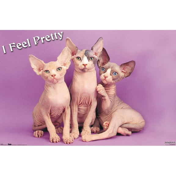 Keith Kimberlin - Kittens - Pretty Kitty Wall Poster, 22.375" x 34"