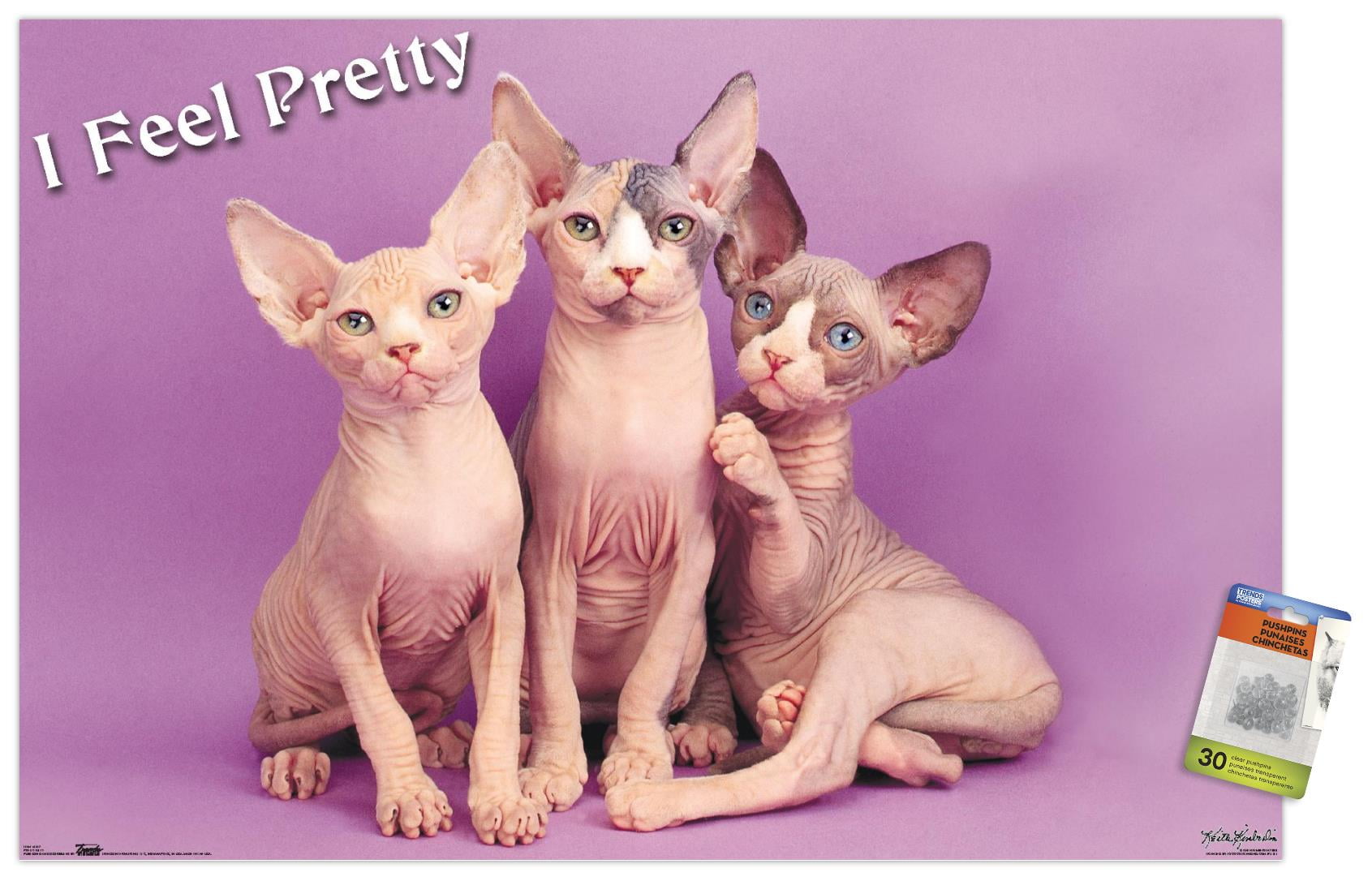 Keith Kimberlin - Kittens - Pretty Kitty Wall Poster with Push Pins, 22.375" x 34"