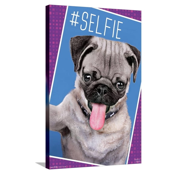 Keith Kimberlin - Kittens - Pug - Selfie Canvas Wall Poster, 22.375" x 34"