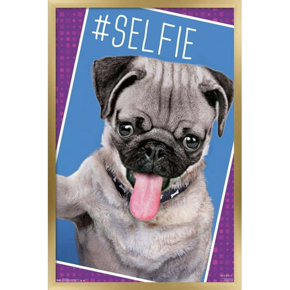 Keith Kimberlin - Kittens - Pug - Selfie Wall Poster, 14.725" x 22.375", Framed