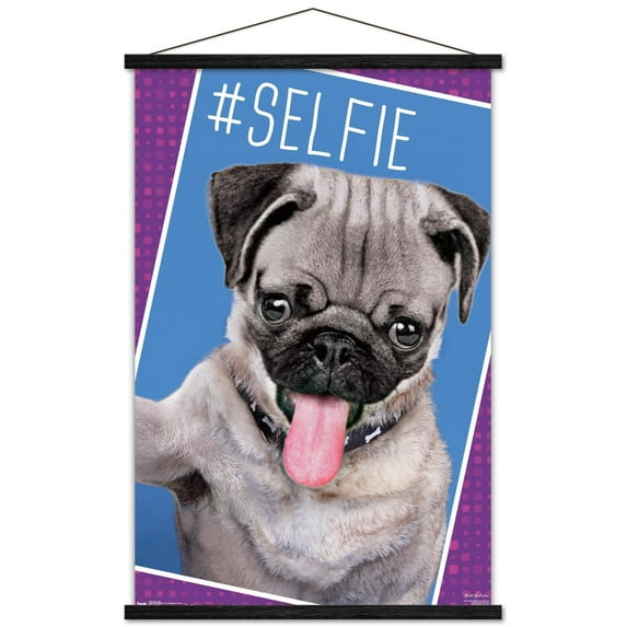 Keith Kimberlin - Kittens - Pug - Selfie Wall Poster with Wooden Magnetic Frame, 22.375" x 34"