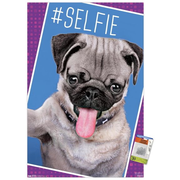 Keith Kimberlin - Kittens - Pug - Selfie Wall Poster with Push Pins, 22.375" x 34"