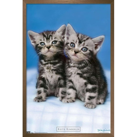 Keith Kimberlin - Kittens - Twins Wall Poster, 22.375" x 34", Framed