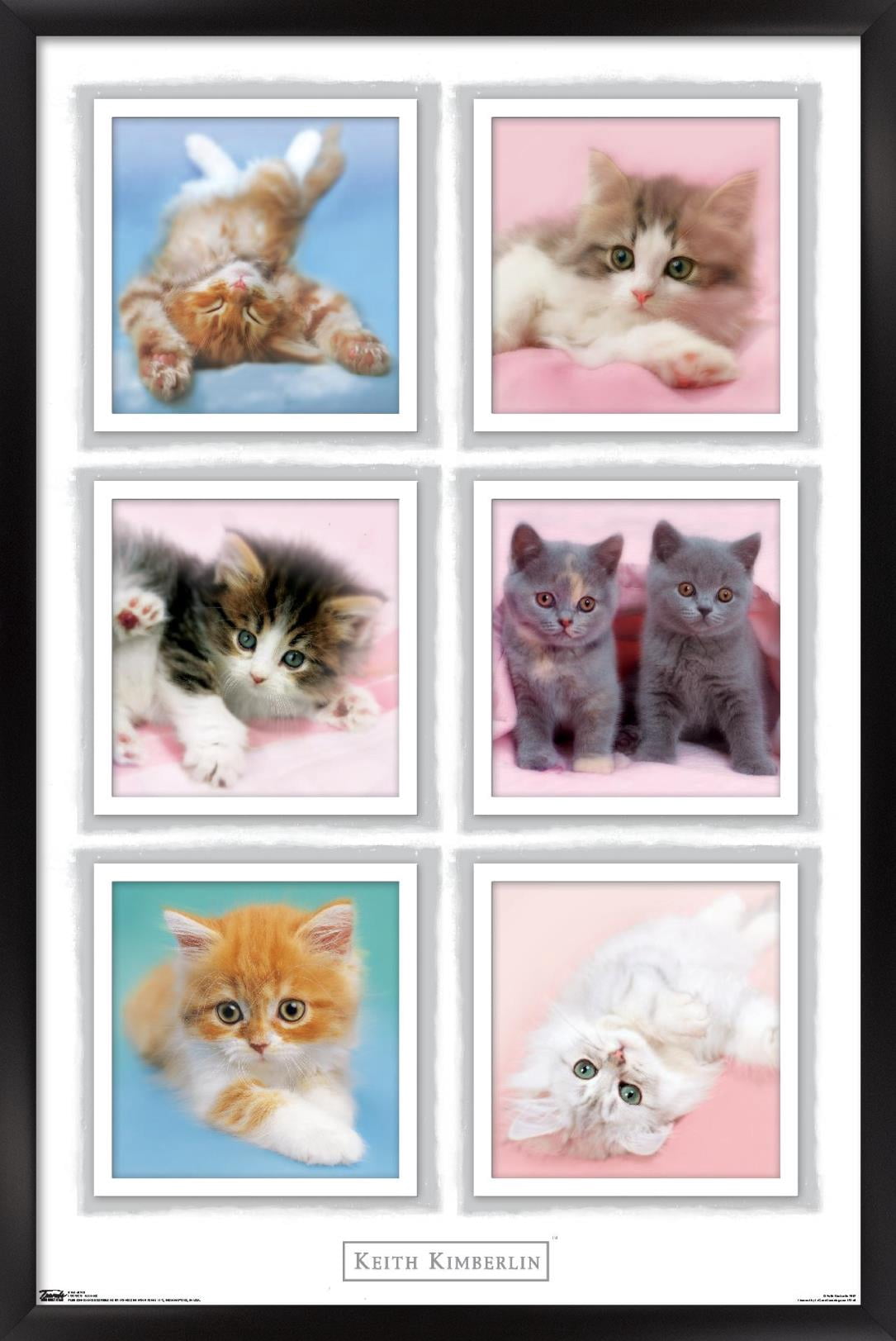 Keith Kimberlin - Kittens Wall Poster, 14.725" x 22.375", Framed