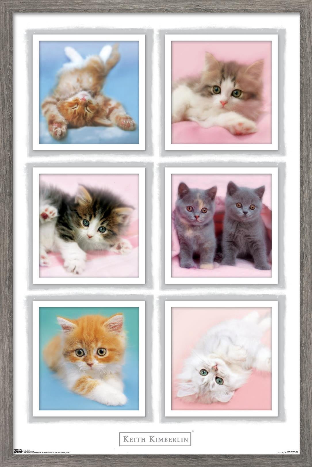 Keith Kimberlin - Kittens Wall Poster, 14.725" x 22.375", Framed