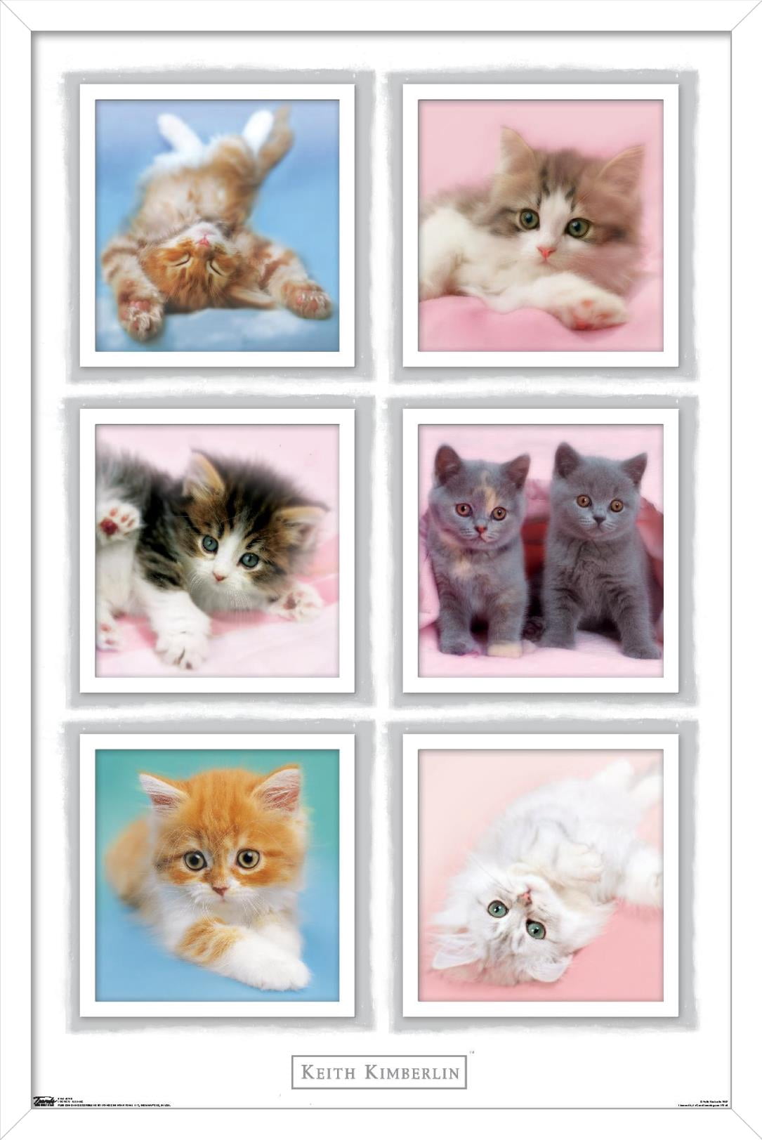 Keith Kimberlin - Kittens Wall Poster, 14.725" x 22.375" Framed