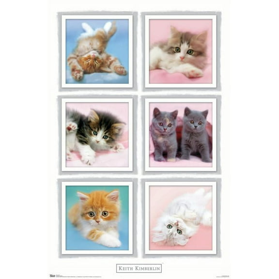 Keith Kimberlin - Kittens Wall Poster, 22.375" x 34"